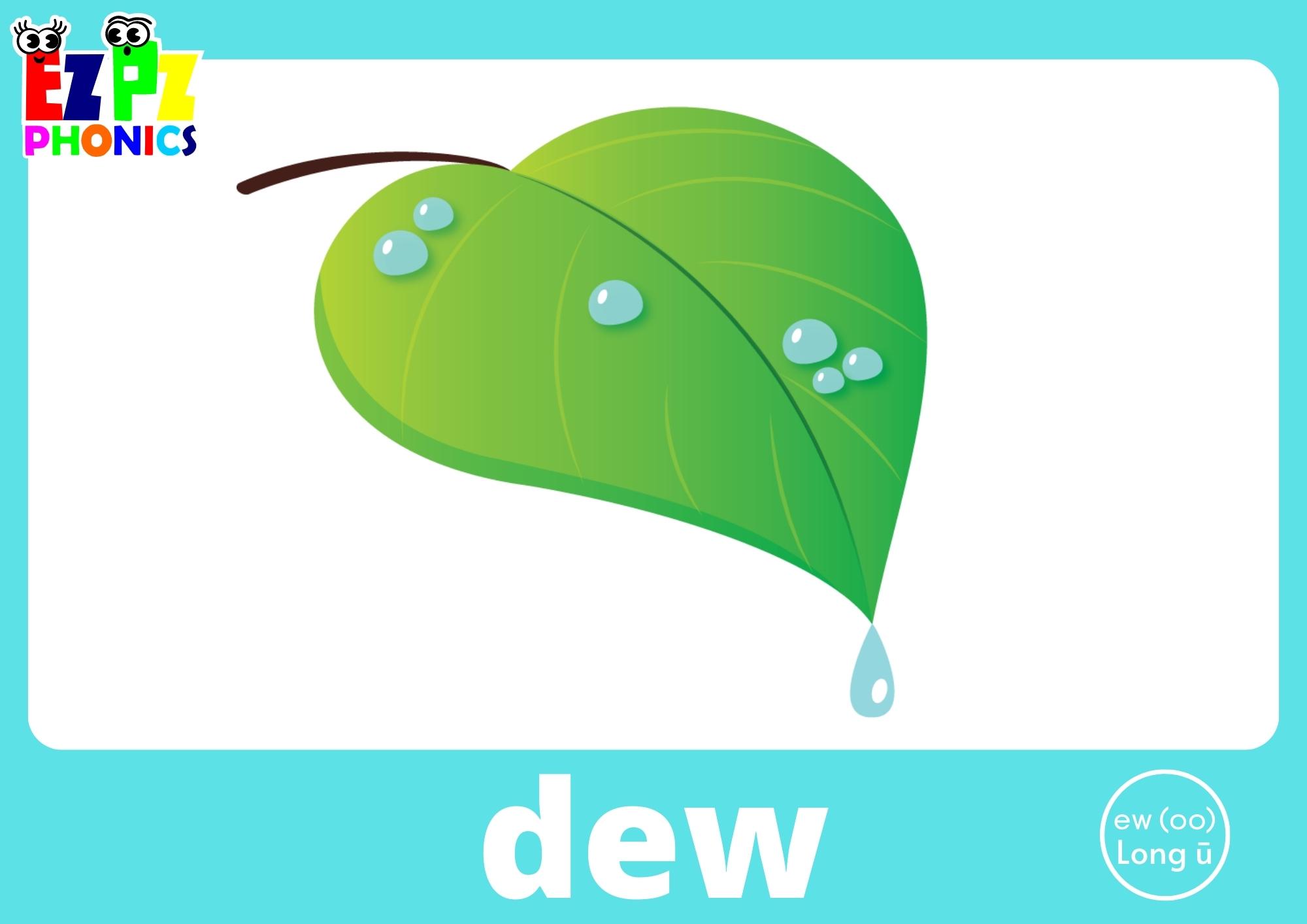 EW Words Long U (oo) Vowel Sound Flashcards with Images and Words Printable PDF or View Online For Teachers and Parents to Teach Kindergarten and Preschool Children